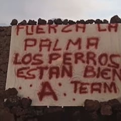 Misterioso mensaje del 'Equipo A' y hay huellas humanas donde estaban los perros