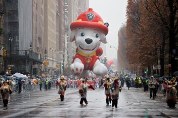 Marshall de PAW Patrol