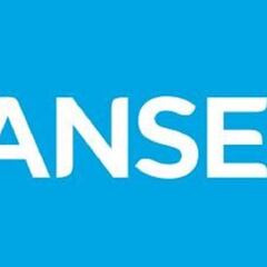 Nuevo bono AUH de ANSES: fechas de cobro de noviembre y montos