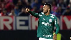 Miguel &Aacute;ngel Borja celebrando su gol con Palmeiras ante Cerro Porte&ntilde;o por Copa Libertadores