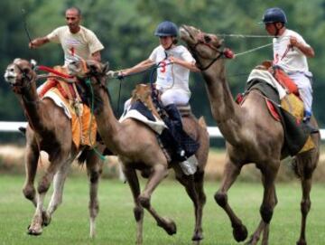 Jockeys ride camels during a French Cup of camel races on August 10, 2014 on the horserace track of La Chartre-sur-le-Loir, western France. Unusual in these latitudes, eight dromaderies that have never seen the desert, took part in two races of 1000 meters. AFP PHOTO / JEAN-FRANCOIS MONIER
