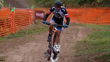 Imagen del Campeonato de Europa de Mushing sobre tierra.