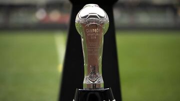 Un nuevo torneo está a punto de comenzar, algunos equipos tienen la obligación del título mientras que otros tratarán de dar la sorpresa.