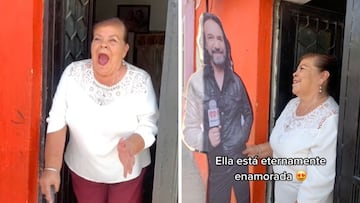 Abuelita recibe Marco Antonio Solís de cartón y el momento se viraliza