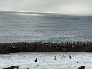 Nacho Hernández, jefe de logística del Ejército en la Antártida: “Prever para proveer. No hay error o plan B”