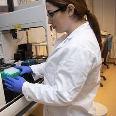 Aviso en Italia: hallada una cepa de coronavirus más contagiosa