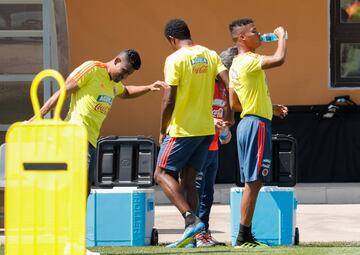 Tras la victoria ante Senegal y la clasificación a octavos de final del Mundial, Colombia vuelve a su campamento y prepara el próximo partido, contra Inglaterra el martes en Moscú.