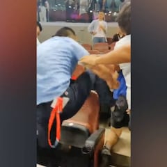 Lío en el tenis: el técnico de una jugadora agrede a un fan rival en la grada