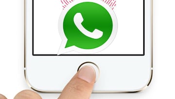 Touch ID y Face ID llegan en exclusiva al WhatsApp de iPhone