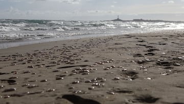 medusas la manga