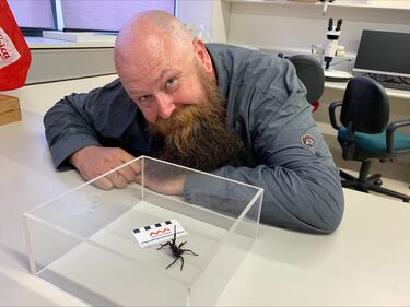 New species of deadly giant spider discovered: here’s where to avoid