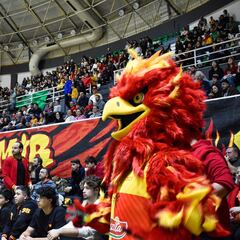 K’Anka, la mascota detenida por la policía