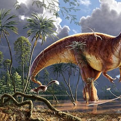 Descubren la “autopista de los dinosaurios” con huellas de hace 166 millones de años que alteran la historia