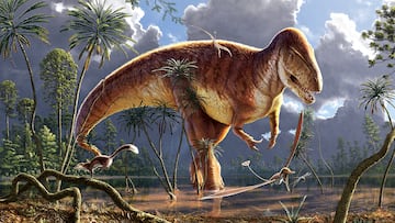 The unique discovery could help researchers understand how dinosaurs lived and interacted millions of years ago.