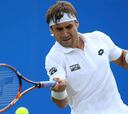 David Ferrer, el español a la sombra de Nadal