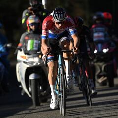 Van der Poel, operado