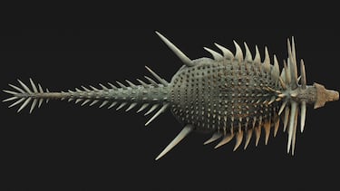 This dinosaur has scientists in disbelief: “it’s unlike any other dinosaur - or animal alive or dead - that we’ve ever discovered”