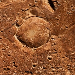 Un estadounidense compró en Marruecos una roca en 2011 y más de una década después resulta ser un material mucho más valioso