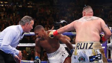 Este martes se cumplen dos a&ntilde;os del K.O. de Andy Ruiz sobre Anthony Joshua para convertirse en campe&oacute;n mundial de los pesados.