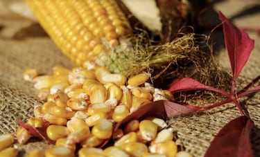 Los 9 alimentos que nunca debes calentar en el microondas