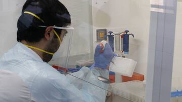 Curva y mapa de casos, contagios y muertes por región en Chile, hoy, 18 de octubre