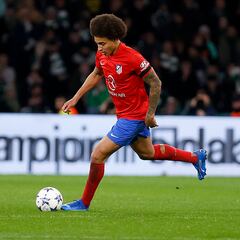 La seguridad de Witsel