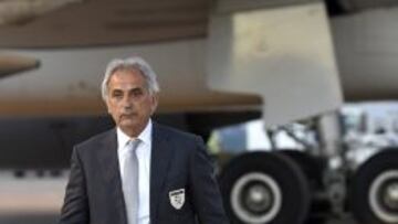 El seleccionador de Argelia, Vahid Halilhodzic.