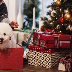 7 consejos para evitar que las mascotas tiren el árbol de Navidad este 2023