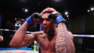 A spider has landed in the UFC: undefeated, 18-0 4 TKO and Spiderman fan dreams of title fight