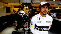 Fernando Alonso.