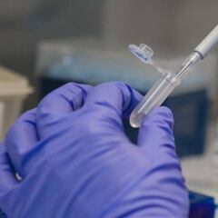 Pruebas de antígenos para el Coronavirus: ¿en qué consisten y en qué casos se recomiendan?