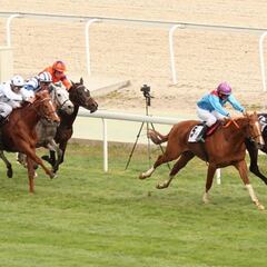 Un Cimera de pronóstico abierto coronará al mejor potro
