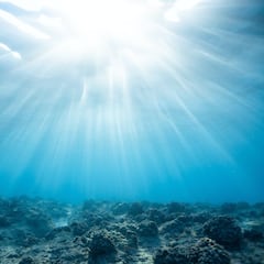 Los cinco viajes más impresionantes de los Récords Guinness