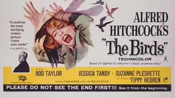 How a seaside town, disoriented gulls and one master of suspense turned a freak 1961 event into cinematic terror.