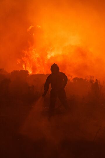 Dos incendios desatados en la provincia de Ávila han provocado la evacuación de los municipios de Riofrío, Sotalbo, Villaviciosa, Palacios y Robledillo, además de quemar 10.000 hectáreas. La situación ha obligado la intervención de la Unidad Militar de Emergencias. 