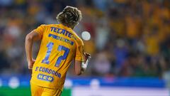 Tigres (1-0) Puebla: Resumen, goles y resultado