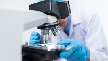 Henipavirus: Qué es, síntomas y forma de transmisión