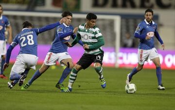 Sporting de Lisboa también tuvo campeones colombianos de la Supercopa de Portugal. En 2015 la ganó con Teófilo Gutiérrez y Freddy Montero en sus filas (venció 1-0 a Benfica). Teo también ganó la Supercopa de Turquía en 2010 con Trabzonspor (3-0 vs. Bursaspor).