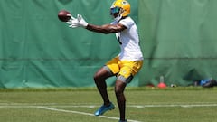 Green Bay Packers vs Houston Texans, 2021 NFL preseason game: times, TV and how to watch online