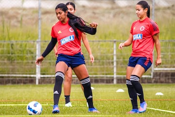 La Selección Colombia Femenina sigue preparando el partido ante Ecuador por Copa América. Las dirigidas por Nelson Abadía volvieron a los trabajos de campo.