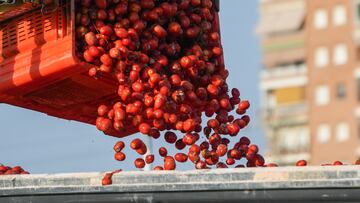 Cientos de tomates son cargados en camiones para la fiesta de la tomatina de Buñol, a 27 de agosto de 2024, en Silla, Valencia, Comunidad Valenciana (España). La empresa Frutas y Verduras Massanassa ha facilitado 120.000 kilos de tomates para que más de 20.000 personas se los lancen mañana miércoles 28 de agosto durante una hora en la que las calles de la localidad de Buñol se tiñen de rojo.
27 AGOSTO 2024;TOMATINA;TOMATES;BUÑOL
Jorge Gil / Europa Press
27/08/2024