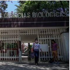 Becas IPN: ¿cuándo las empezaré a cobrar?