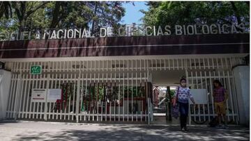 Becas IPN: ¿cuándo las empezaré a cobrar?