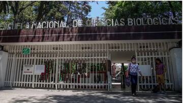 Becas IPN: &iquest;cu&aacute;ndo las empezar&eacute; a cobrar?