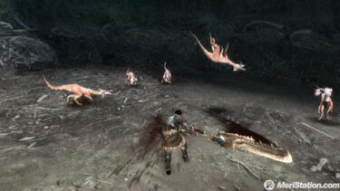 Monster Hunter Tri, Impresiones