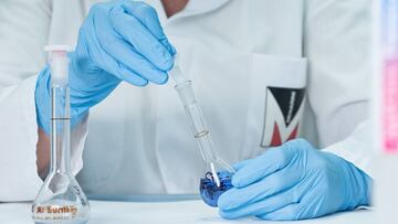 Descubren un nuevo virus en murciélagos similar al coronavirus