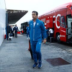 Un resurgir todavía por confirmar