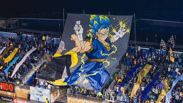 Who makes tifo?