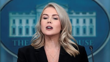 Mother of WH press secretary Karoline Leavitt’s nephew in ICE custody