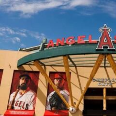 Why is a fan suing the Los Angeles Angels and Juan Lagares?